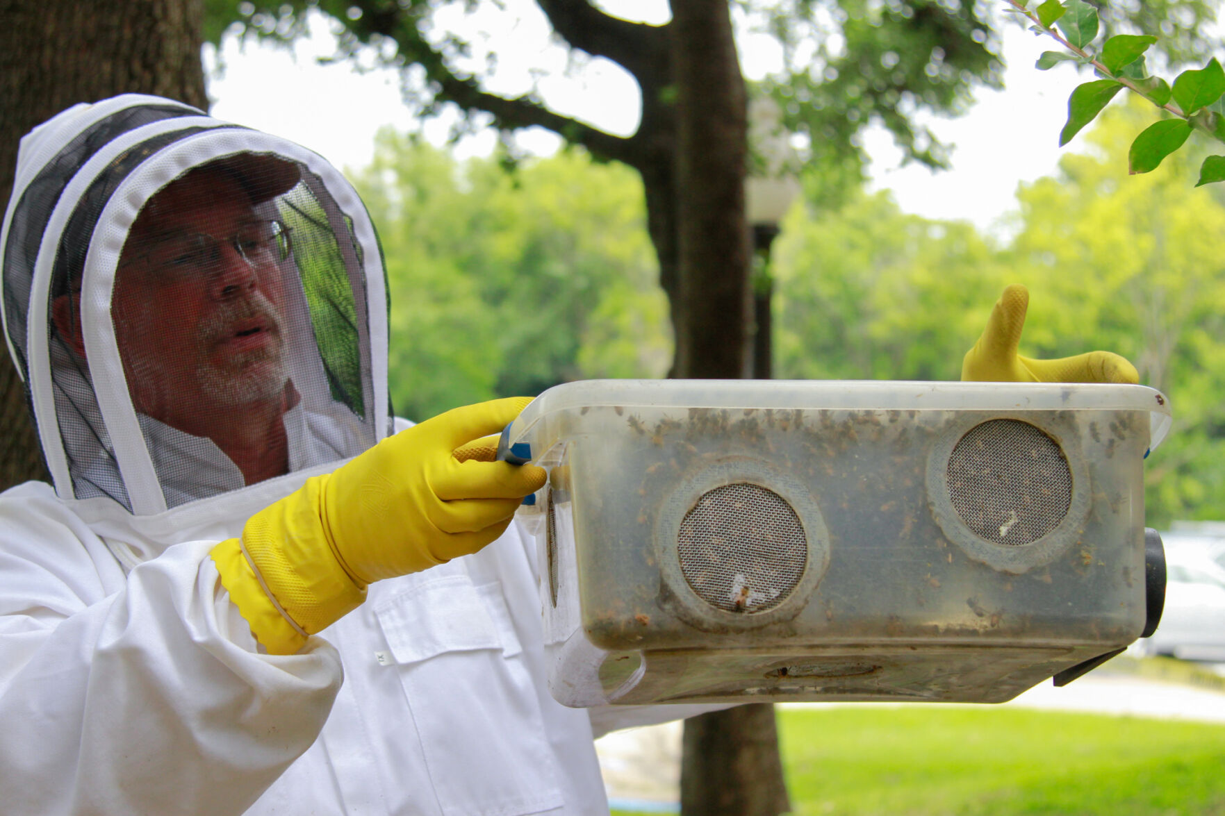 Beekeeping UTA alumnus protects his hives through rain, snow and a pandemic